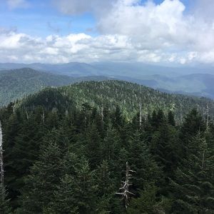 Meet your Posher, Mai